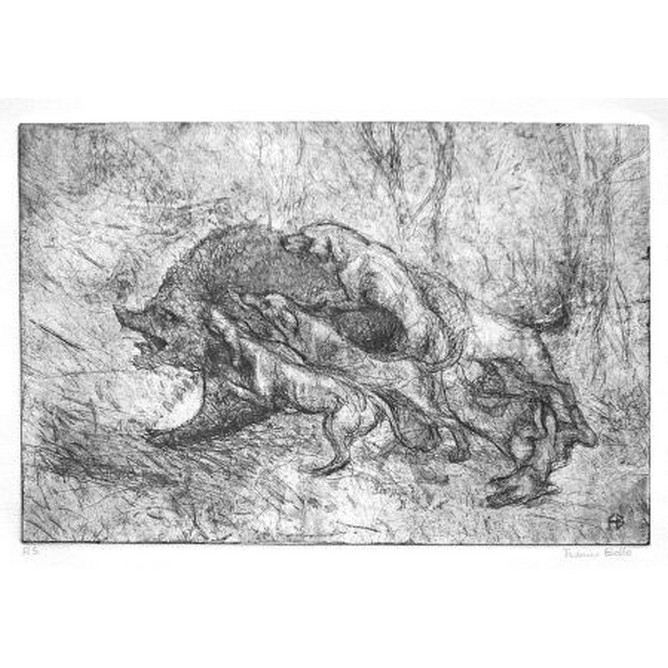 Caccia al cinghiale